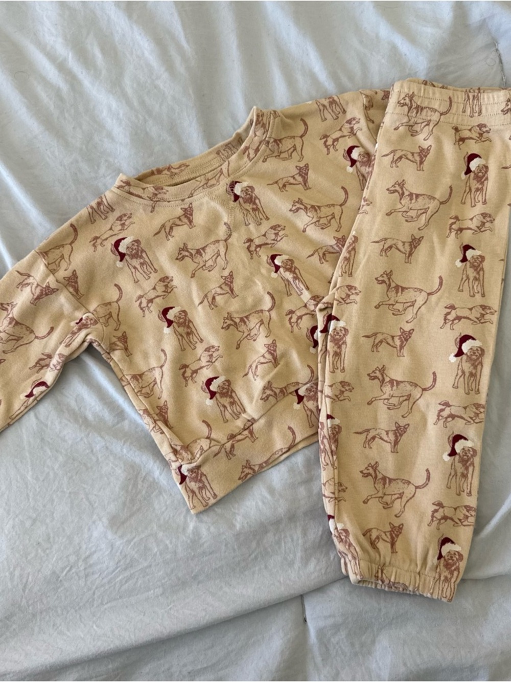 kate quinn Christmas dog jogger set